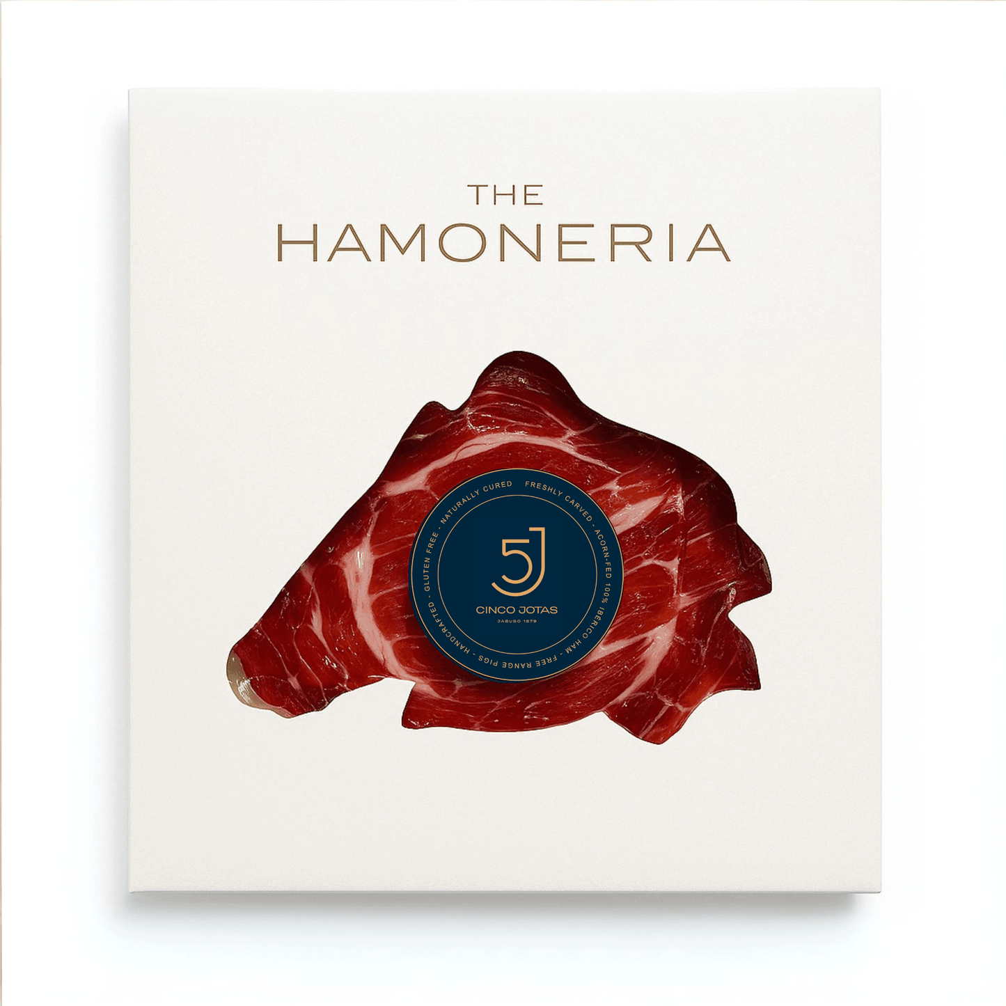 10-Pack Jamón Ibérico Bellota – 100% Pata Negra, 30 oz - Iberian Ham Express